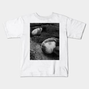 Shells Sculpture. Vladivostok Oceanarium Kids T-Shirt